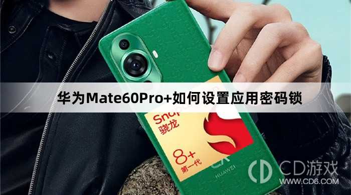 华为Mate60Pro+设置应用密码锁教程介绍_华为Mate60Pro+如何设置应用密码锁插图