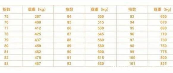 轮胎上的数字和字母是什么意思？轮胎上的数字和字母含义插图2