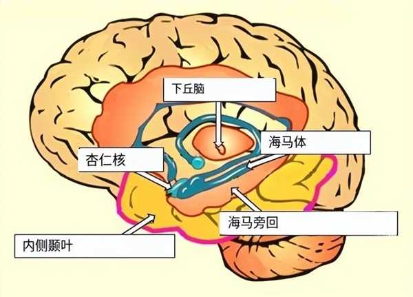 奇怪的人脑：熟悉的很陌生、陌生的很熟悉