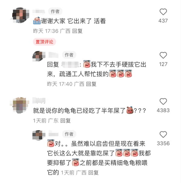 乌龟掉进厕所半年后才被救出 灵魂画手还原生存状态：太难了