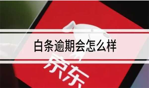 京东白条逾期会被加收高额罚息吗