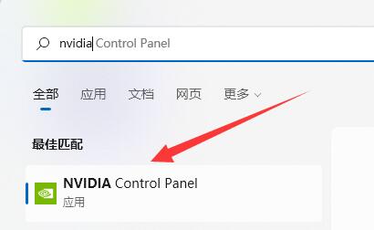 Win11找不到NVIDIA控制面板怎么办?Win11找不到NVIDIA控制面板的解决方法插图10