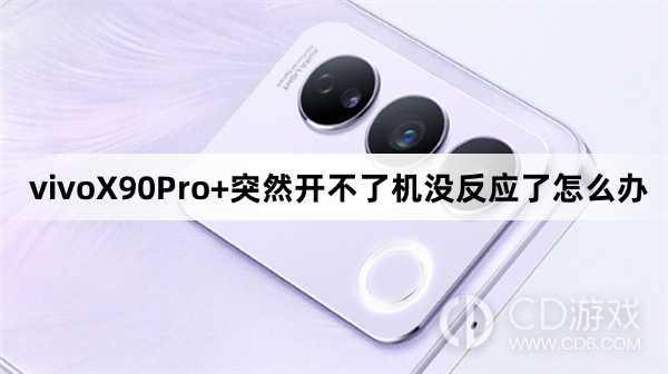 vivoX90Pro+突然开不了机没反应了解决方法?vivoX90Pro+突然开不了机没反应了怎么办插图