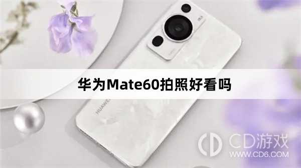 华为Mate60拍照好不好看?华为Mate60拍照好看吗插图