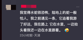 男子河里游泳遇到蛇，吓得抓起来狂甩数十次，拍摄者：最后蛇可能被甩晕了，一动也不动插图6