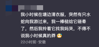 男子河里游泳遇到蛇，吓得抓起来狂甩数十次，拍摄者：最后蛇可能被甩晕了，一动也不动插图10