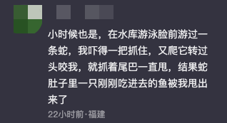 男子河里游泳遇到蛇，吓得抓起来狂甩数十次，拍摄者：最后蛇可能被甩晕了，一动也不动插图8