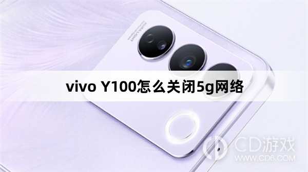 vivo Y100关闭5g网络方法?vivo Y100怎么关闭5g网络插图