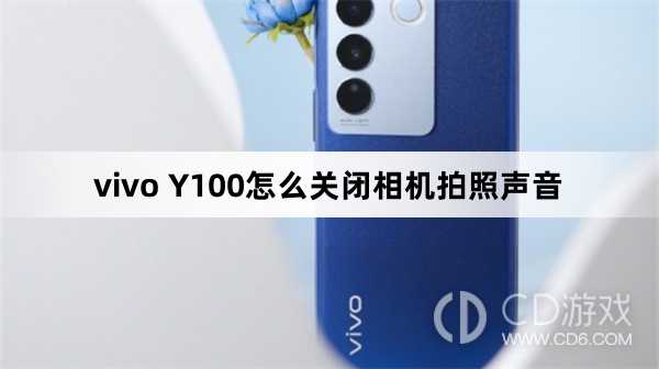 vivo Y100关闭相机拍照声音方法?vivo Y100怎么关闭相机拍照声音插图