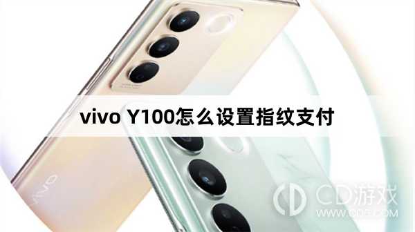 vivo Y100设置指纹支付方法?vivo Y100怎么设置指纹支付插图