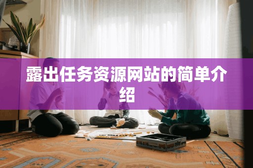 露出任务资源网站的简单介绍