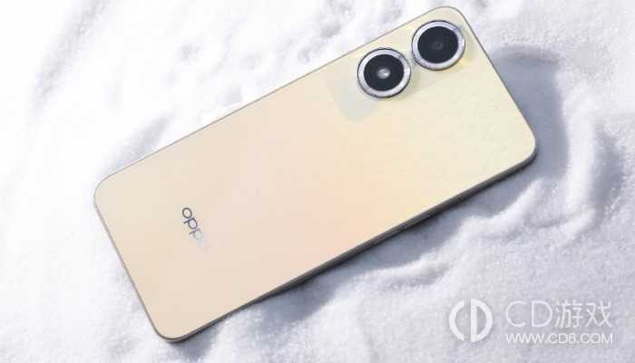 OPPOA2m字体大小的设置方法?OPPOA2m字体大小怎么设置插图