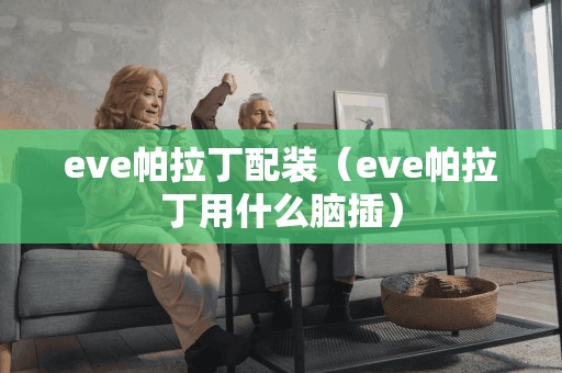 eve帕拉丁配装（eve帕拉丁用什么脑插）