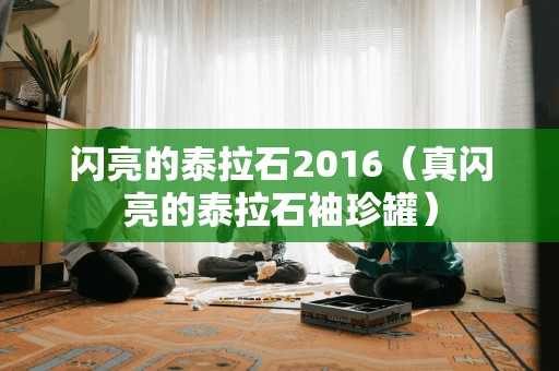 闪亮的泰拉石2016（真闪亮的泰拉石袖珍罐）