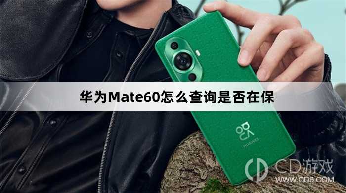 华为Mate60查询是否在保方法介绍?华为Mate60怎么查询是否在保插图