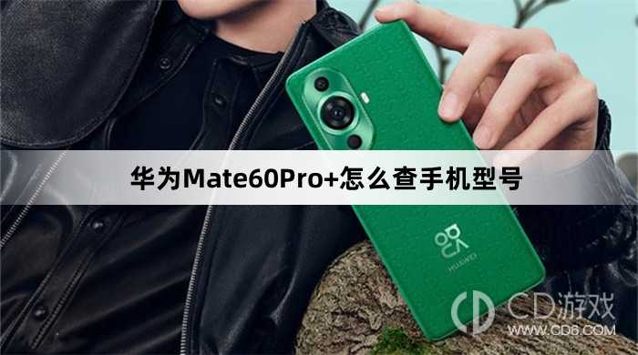 华为Mate60Pro+查手机型号方法介绍?华为Mate60Pro+怎么查手机型号插图