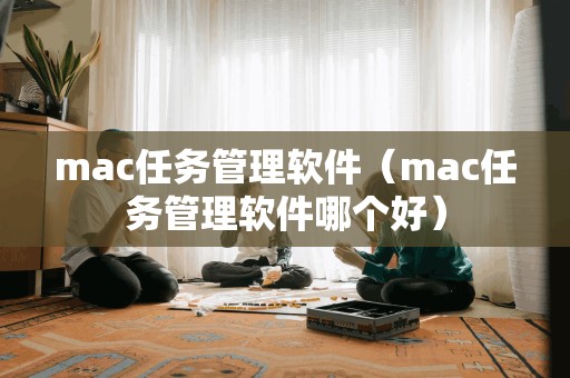 mac任务管理软件（mac任务管理软件哪个好）