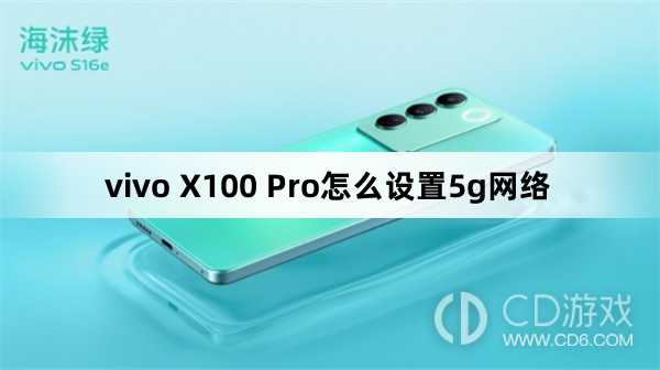 vivo X100 Pro设置5g网络方法?vivo X100 Pro怎么设置5g网络插图