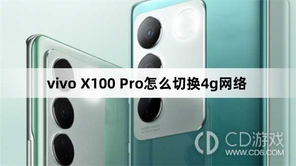 vivo X100 Pro切换4g网络方法?vivo X100 Pro怎么切换4g网络插图