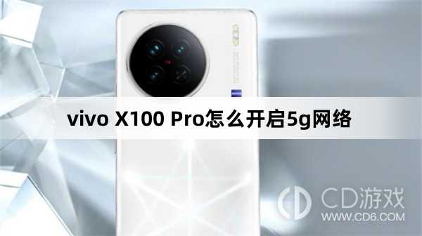 vivo X100 Pro开启5g网络方法?vivo X100 Pro怎么开启5g网络插图
