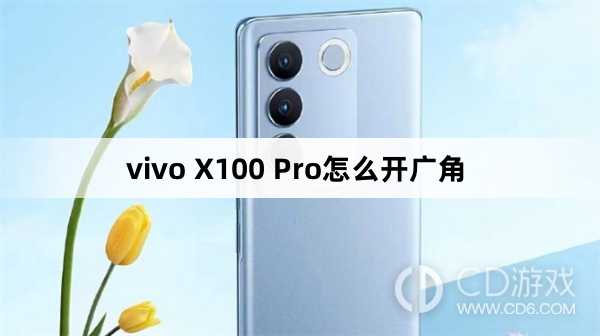 vivo X100 Pro开广角方法?vivo X100 Pro怎么开广角插图