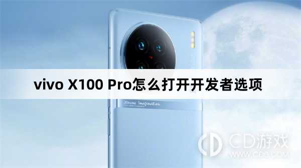 vivo X100 Pro打开开发者选项方法?vivo X100 Pro怎么打开开发者选项插图