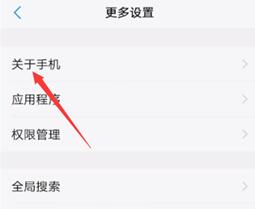 vivo X100 Pro打开开发者选项方法?vivo X100 Pro怎么打开开发者选项插图6