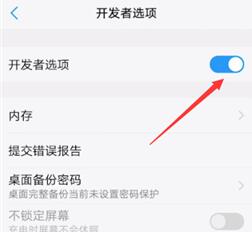 vivo X100 Pro打开开发者选项方法?vivo X100 Pro怎么打开开发者选项插图12