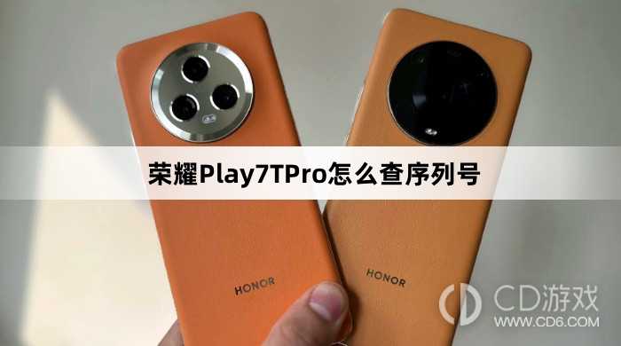 荣耀Play7TPro查序列号方法介绍?荣耀Play7TPro怎么查序列号插图