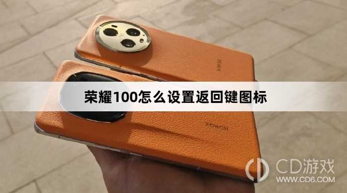 荣耀100设置返回键图标方法?荣耀100怎么设置返回键图标插图