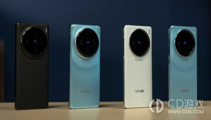 vivoX100有多少个版本可以选择?vivoX100有几个版本插图