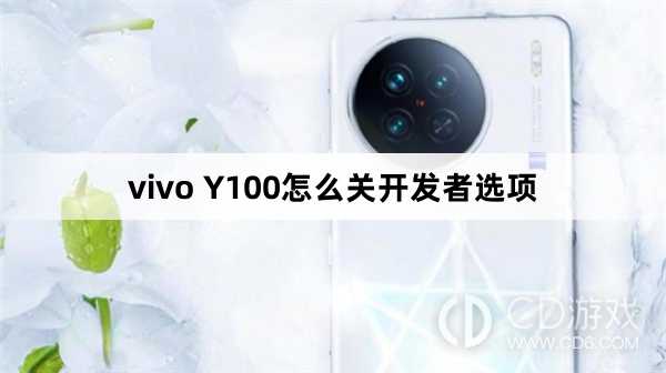 vivo Y100关开发者选项方法?vivo Y100怎么关开发者选项插图