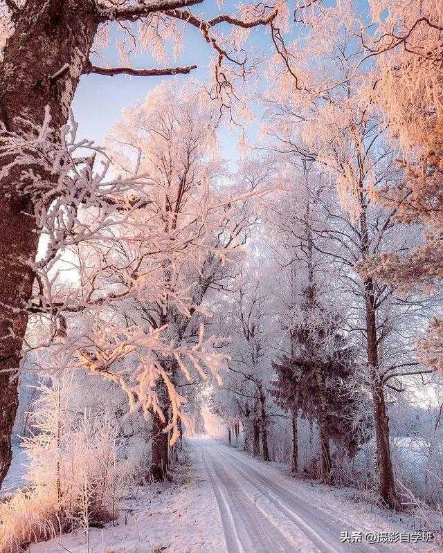 冬天雪景怎么拍好看，4句雪景摄影口诀，帮你拍美雪景照片插图4