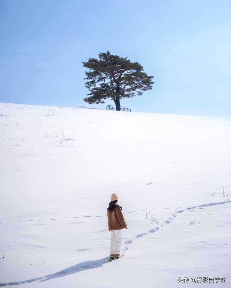 冬天雪景怎么拍好看，4句雪景摄影口诀，帮你拍美雪景照片插图8