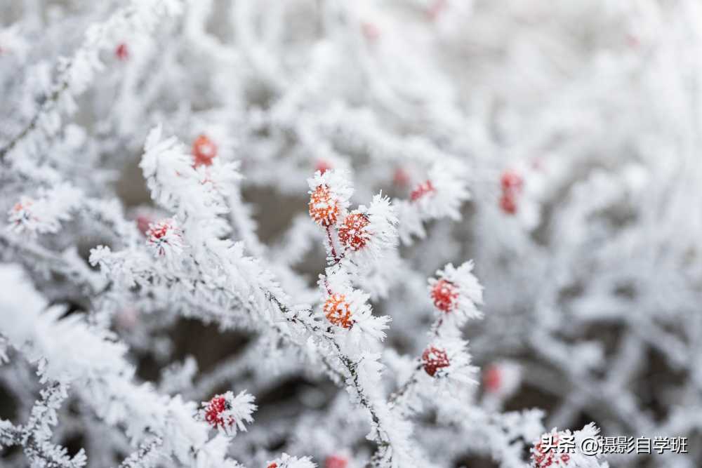 冬天雪景怎么拍好看，4句雪景摄影口诀，帮你拍美雪景照片插图18