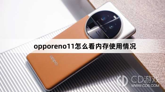 opporeno11看内存使用情况方法?opporeno11怎么看内存使用情况插图