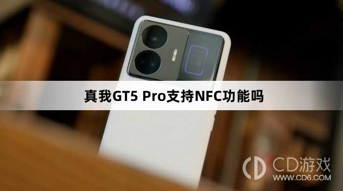 真我GT5Pro有NFC功能吗?真我GT5Pro支持NFC功能吗插图