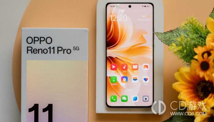 OPPOReno11Pro隐藏应用的方法?OPPOReno11Pro怎么隐藏手机软件插图