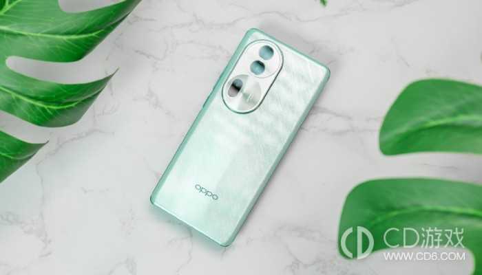 OPPOReno11Pro的刷机教程?OPPOReno11Pro怎么刷机插图