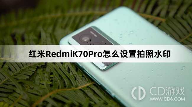 红米RedmiK70Pro设置拍照水印方法介绍?红米RedmiK70Pro怎么设置拍照水印插图