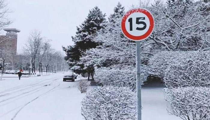 今日大雪节气黑龙江下大雪 本周末哈尔滨气温将暴跌