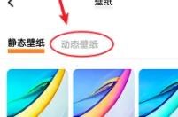 vivos18pro设置动态壁纸方法?vivos18pro怎么设置动态壁纸插图6