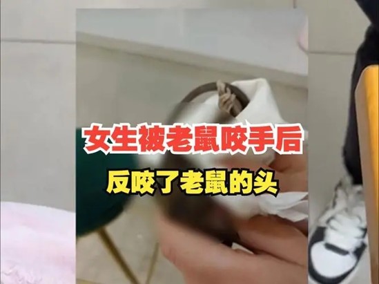 女生被老鼠咬伤手后为何反咬老鼠