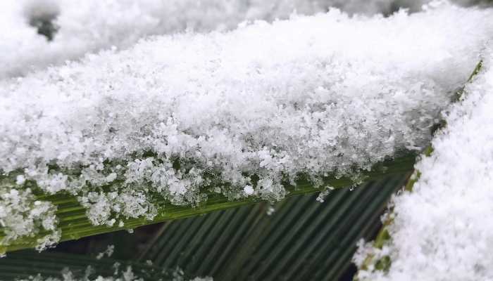 广州下雪了吗 气象部门回应只是部分地方下了点雨而已