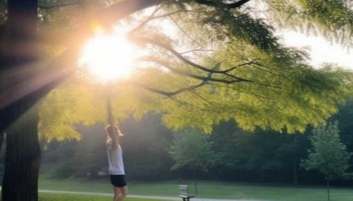 今起3天广东气温继续回升 广州最高气温将回升至25℃左右