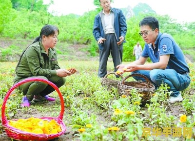 英雄联盟潘森打野出装 英雄联盟潘森打野出装攻略**