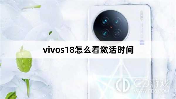 vivos18看激活时间方法?vivos18怎么看激活时间插图