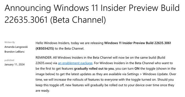 Win11 Beta 预览版 Build 22635.3061 发布(附KB5034215更新内容汇总)插图