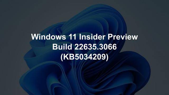 Win11 Beta 22635.3066 预览版发布更新补丁KB5034209 引领80Gb USB4时代插图