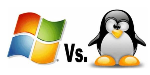 Linux和Windows系统怎么选 Linux与Windows系的区别介绍插图